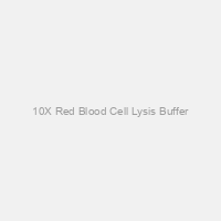 10X Red Blood Cell Lysis Buffer
